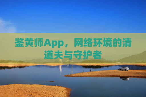 鉴黄师App，网络环境的清道夫与守护者