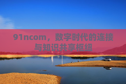 91ncom，数字时代的连接与知识共享枢纽