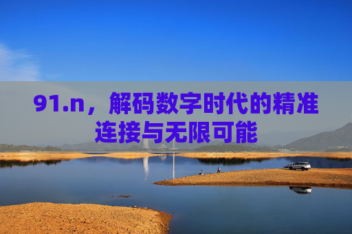 91.n，解码数字时代的精准连接与无限可能