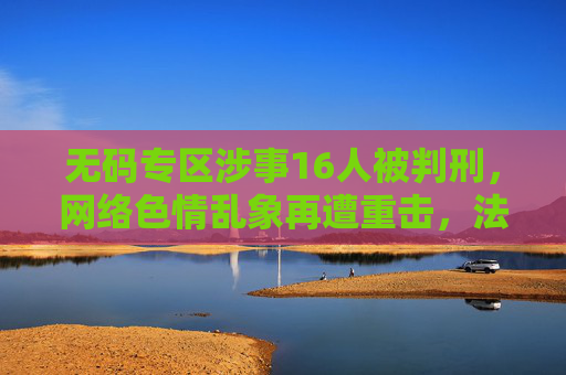 无码专区涉事16人被判刑，网络色情乱象再遭重击，法律利剑直击违法者