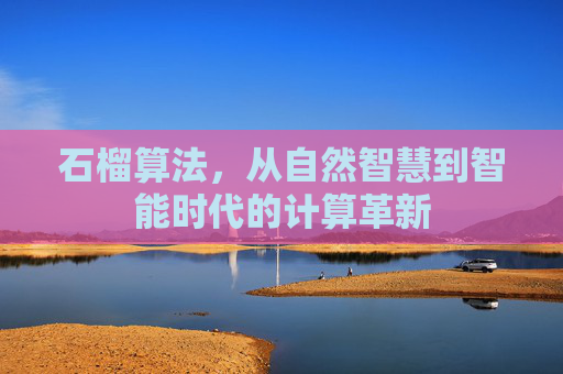 石榴算法,从自然智慧到智能时代的计算革新