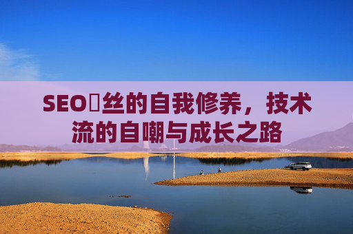 SEO屌丝的自我修养,技术流的自嘲与成长之路