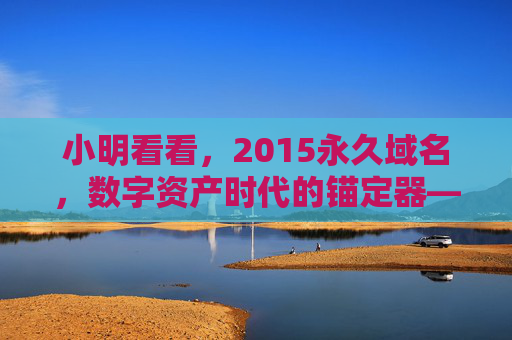 小明看看，2015永久域名，数字资产时代的锚定器——从域名到品牌的跨越之路