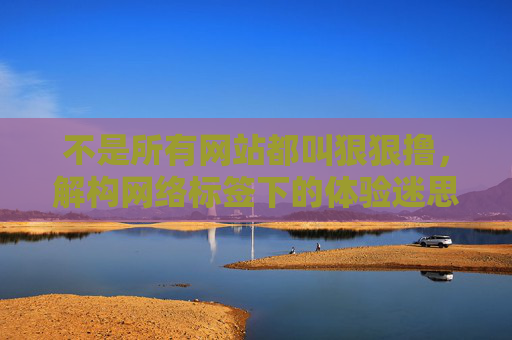 不是所有网站都叫狠狠撸,解构网络标签下的体验迷思