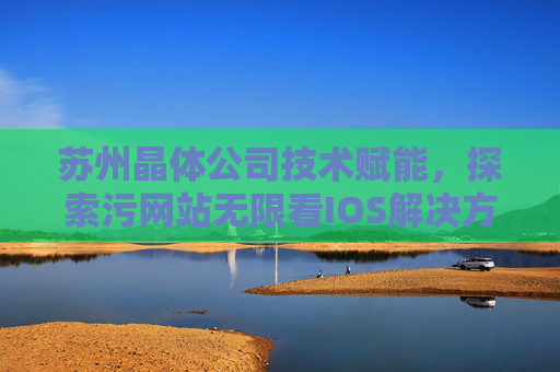苏州晶体公司技术赋能，探索污网站无限看IOS解决方案