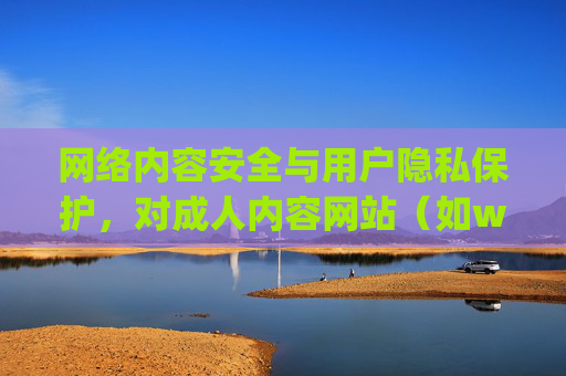 网络内容安全与用户隐私保护，对成人内容网站（如www.youjizz com）的警示与分析