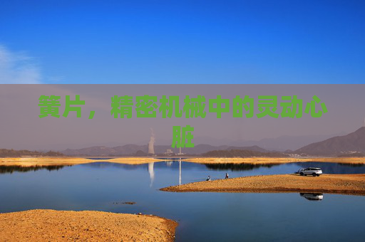 簧片，精密机械中的灵动心脏