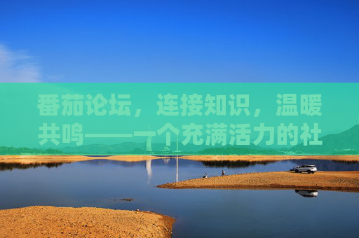 番茄论坛，连接知识，温暖共鸣——一个充满活力的社区交流平台