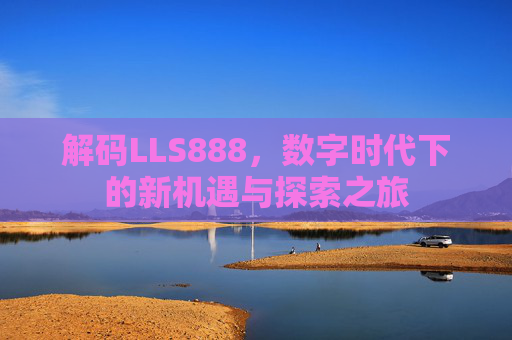 解码LLS888，数字时代下的新机遇与探索之旅