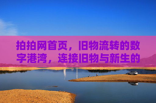 拍拍网首页，旧物流转的数字港湾，连接旧物与新生的桥梁