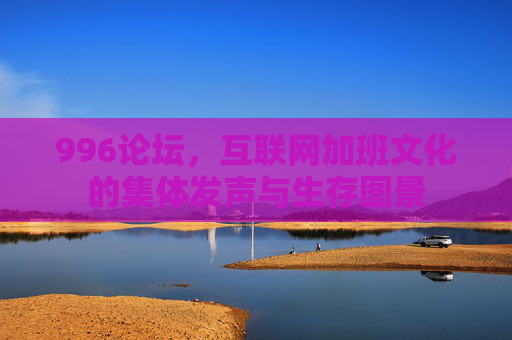 996论坛,互联网加班文化的集体发声与生存图景