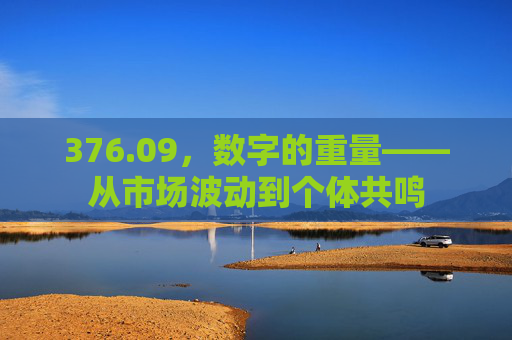 376.09，数字的重量——从市场波动到个体共鸣