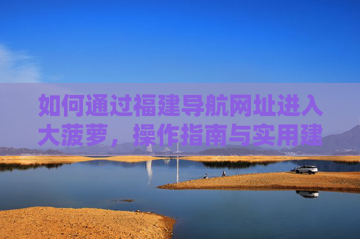 如何通过福建导航网址进入大菠萝，操作指南与实用建议