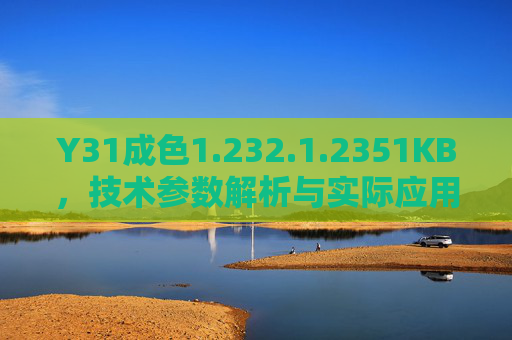 Y31成色1.232.1.2351KB，技术参数解析与实际应用探讨