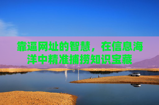 靠逼网址的智慧，在信息海洋中精准捕捞知识宝藏