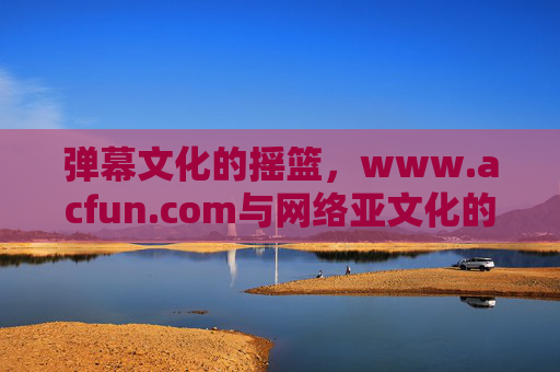 弹幕文化的摇篮，www.acfun.com与网络亚文化的早期印记