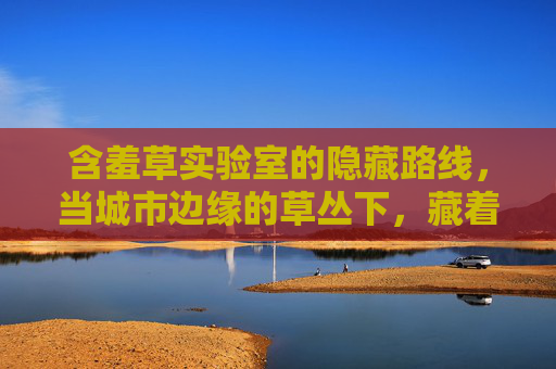 含羞草实验室的隐藏路线，当城市边缘的草丛下，藏着不为人知的科学秘密