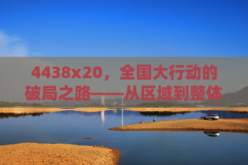 4438x20，全国大行动的破局之路——从区域到整体的系统性推进