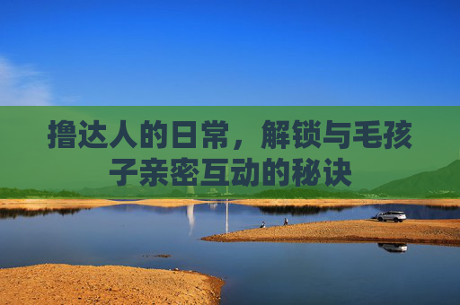 撸达人的日常，解锁与毛孩子亲密互动的秘诀