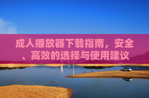 成人播放器下载指南,安全、高效的选择与使用建议