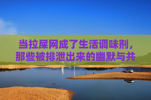 当拉屎网成了生活调味剂，那些被排泄出来的幽默与共鸣