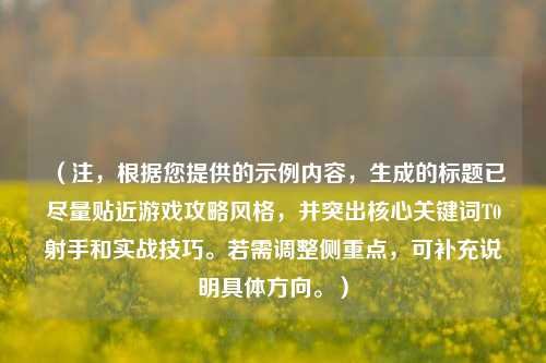 (注,根据您提供的示例内容,生成的标题已尽量贴近游戏攻略风格,并突出核心关键词T0射手和实战技巧。若需调整侧重点,可补充说明具体方向。)