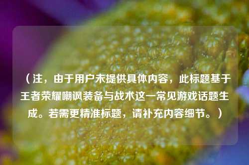 （注，由于用户未提供具体内容，此标题基于王者荣耀嘲讽装备与战术这一常见游戏话题生成。若需更精准标题，请补充内容细节。）