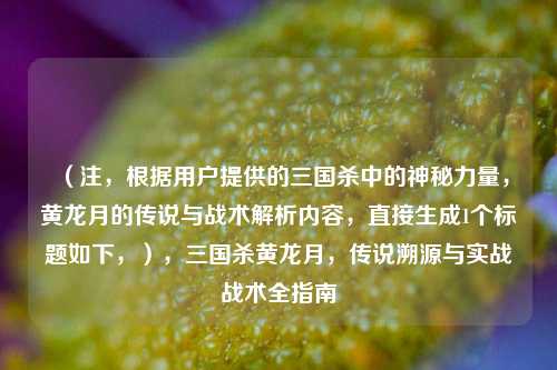(注,根据用户提供的三国杀中的神秘力量,黄龙月的传说与战术解析内容,直接生成1个标题如下,),三国杀黄龙月,传说溯源与实战战术全指南