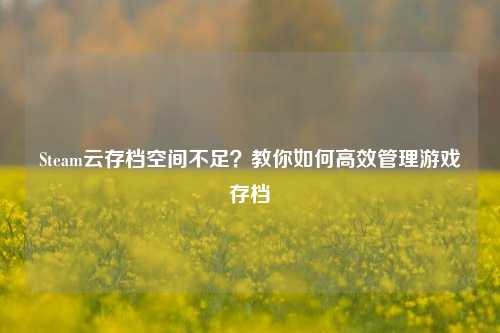 Steam云存档空间不足?教你如何高效管理游戏存档