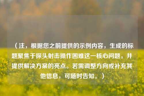 (注,根据您之前提供的示例内容,生成的标题聚焦于探头射击操作困难这一核心问题,并提供解决方案的亮点。若需调整方向或补充其他信息,可随时告知。)