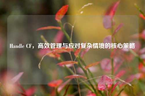 Handle CF，高效管理与应对复杂情境的核心策略