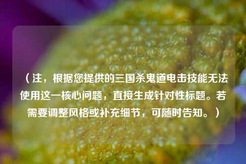 （注，根据您提供的三国杀鬼道电击技能无法使用这一核心问题，直接生成针对性标题。若需要调整风格或补充细节，可随时告知。）