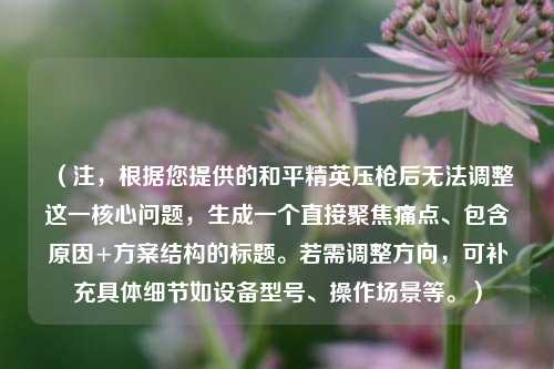 （注，根据您提供的和平精英压枪后无法调整这一核心问题，生成一个直接聚焦痛点、包含原因+方案结构的标题。若需调整方向，可补充具体细节如设备型号、操作场景等。）