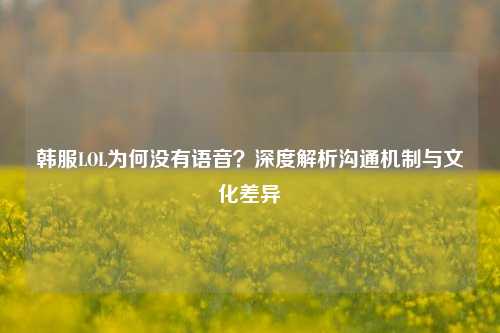 韩服LOL为何没有语音？深度解析沟通机制与文化差异