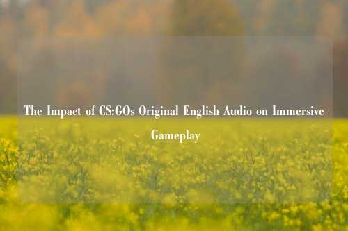 The Impact of CS:GOs Original English Audio on Immersive Gameplay