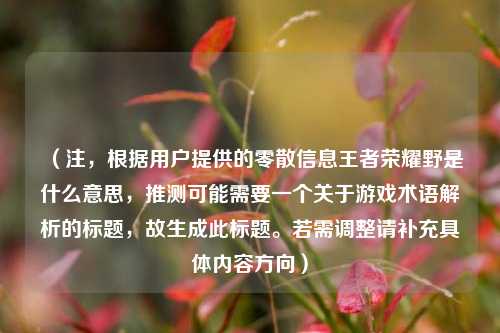 （注，根据用户提供的零散信息王者荣耀野是什么意思，推测可能需要一个关于游戏术语解析的标题，故生成此标题。若需调整请补充具体内容方向）