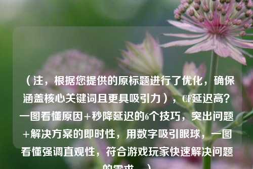 （注，根据您提供的原标题进行了优化，确保涵盖核心关键词且更具吸引力），CF延迟高？一图看懂原因+秒降延迟的6个技巧，突出问题+解决方案的即时性，用数字吸引眼球，一图看懂强调直观性，符合游戏玩家快速解决问题的需求。）