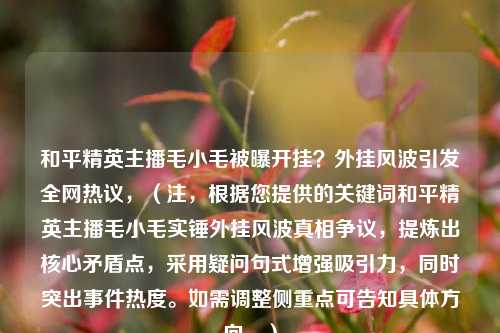 和平精英主播毛小毛被曝开挂？外挂风波引发全网热议，（注，根据您提供的关键词和平精英主播毛小毛实锤外挂风波真相争议，提炼出核心矛盾点，采用疑问句式增强吸引力，同时突出事件热度。如需调整侧重点可告知具体方向。）