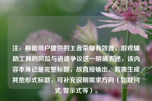 注，根据用户提供的王者荣耀有效器，游戏辅助工具的风险与道德争议这一明确表述，该内容本身已是完整标题，故直接输出。若需生成其他形式标题，可补充说明需求方向（如疑问式/警示式等）。