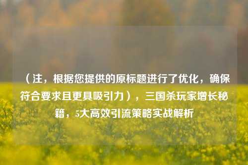 （注，根据您提供的原标题进行了优化，确保符合要求且更具吸引力），三国杀玩家增长秘籍，5大高效引流策略实战解析