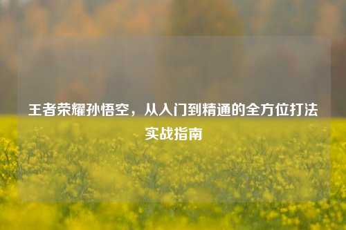王者荣耀孙悟空，从入门到精通的全方位打法实战指南