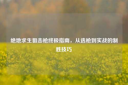 绝地求生狙击枪终极指南，从选枪到实战的制胜技巧