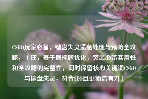 CSGO玩家必备，键盘失灵紧急处理与预防全攻略，（注，基于原标题优化，突出必备实用性和全攻略的完整性，同时保留核心关键词CSGO与键盘失灵，符合SEO且更简洁有力）