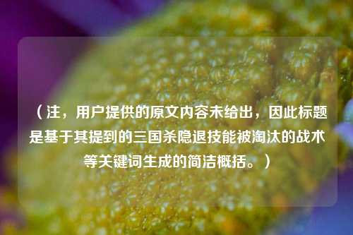 （注，用户提供的原文内容未给出，因此标题是基于其提到的三国杀隐退技能被淘汰的战术等关键词生成的简洁概括。）