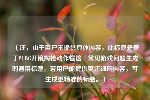 （注，由于用户未提供具体内容，此标题是基于PUBG开镜掏枪动作慢这一常见游戏问题生成的通用标题。若用户能提供更详细的内容，可生成更精准的标题。）