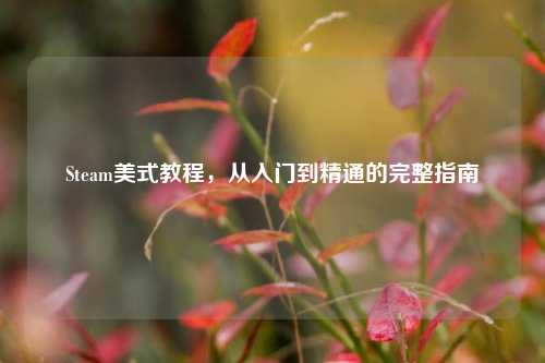 Steam美式教程，从入门到精通的完整指南