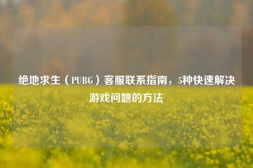 绝地求生（PUBG）客服联系指南，5种快速解决游戏问题的方法