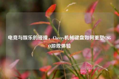 电竞与娱乐的碰撞，Cherry机械键盘如何重塑CSGO游戏体验