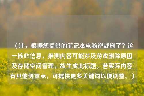（注，根据您提供的笔记本电脑逆战删了？这一核心信息，推测内容可能涉及游戏删除原因及存储空间管理，故生成此标题。若实际内容有其他侧重点，可提供更多关键词以便调整。）