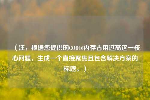 （注，根据您提供的COD16内存占用过高这一核心问题，生成一个直接聚焦且包含解决方案的标题。）
